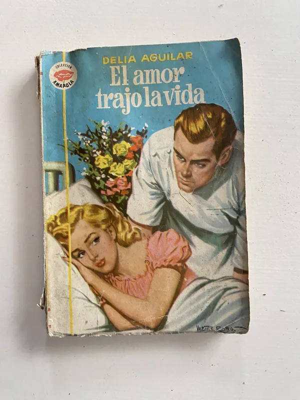 Tapa de El amor trajo la vida - Aguilar Delia (4o2)
