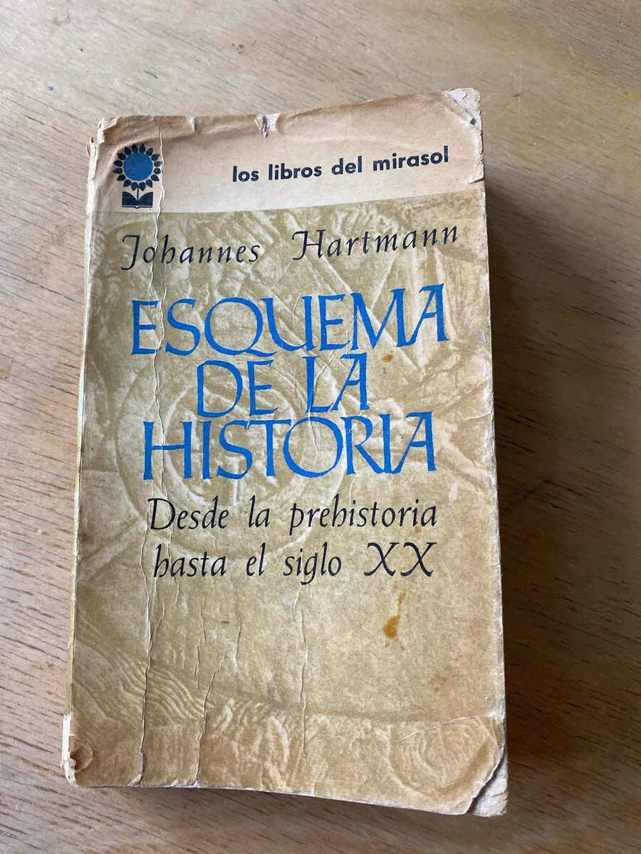 Esquema De La Historia - Hartmann, J. (s2)