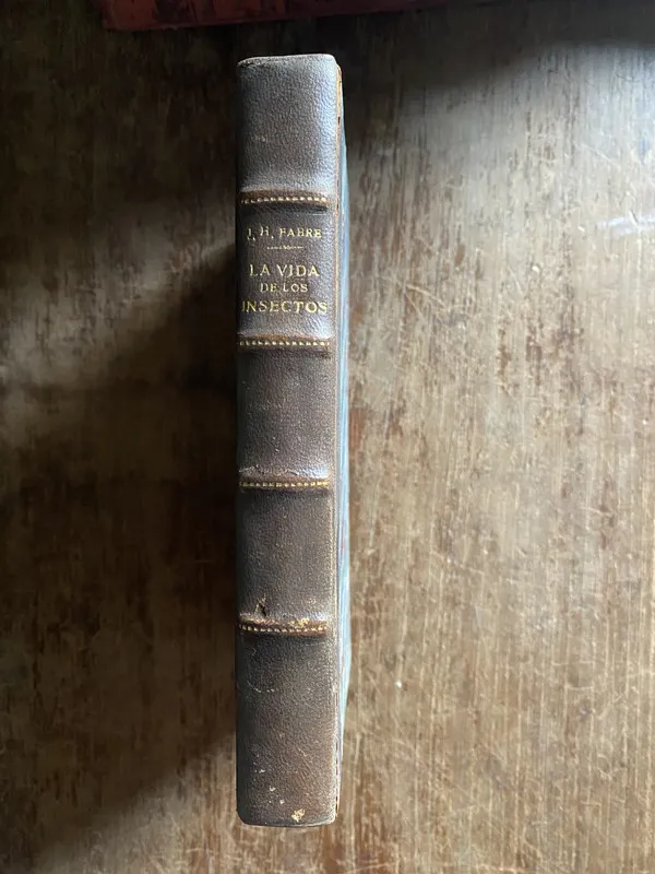La vida de los insectos - Fabre J. H. (4q4)