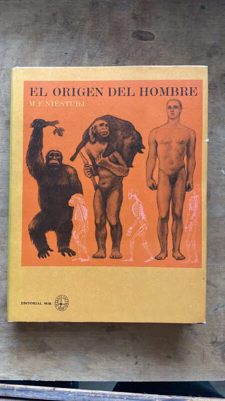 El Origen Del Hombre - Niesturj, M.f. (h3)