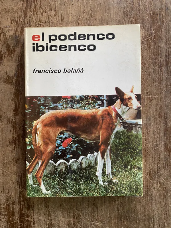 Tapa de El podenco ibicenco - Balana Francisco (4y6)