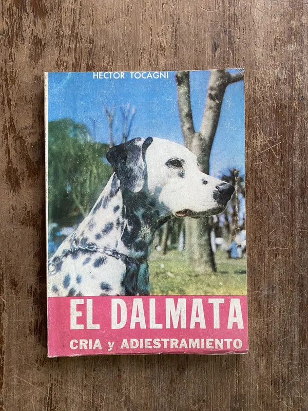 El Dalmata - Tocagni Hector (4y6)