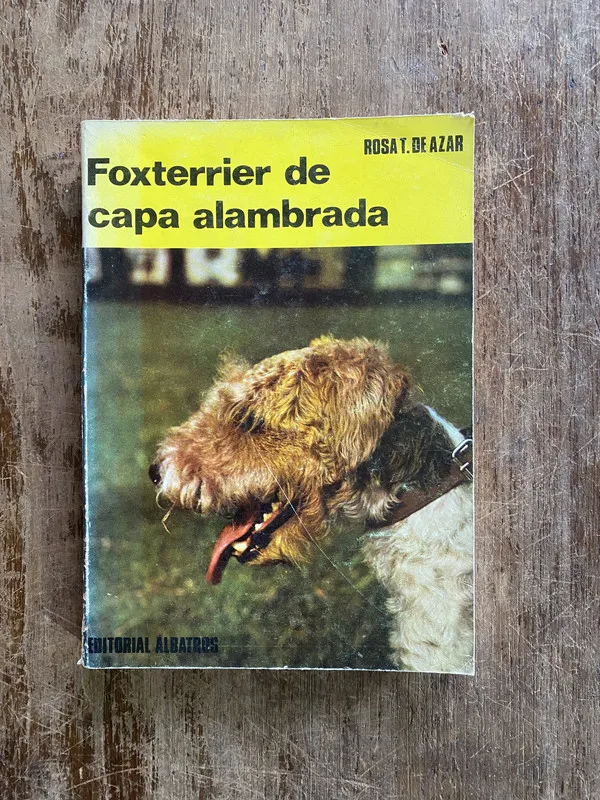 Foxterrier de capa alambrada - De Azar Rosa T. (4y6)