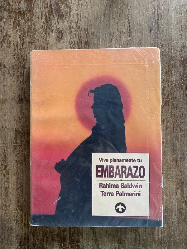 Vive plenamente tu Embarazo - Baldwin (4y5)