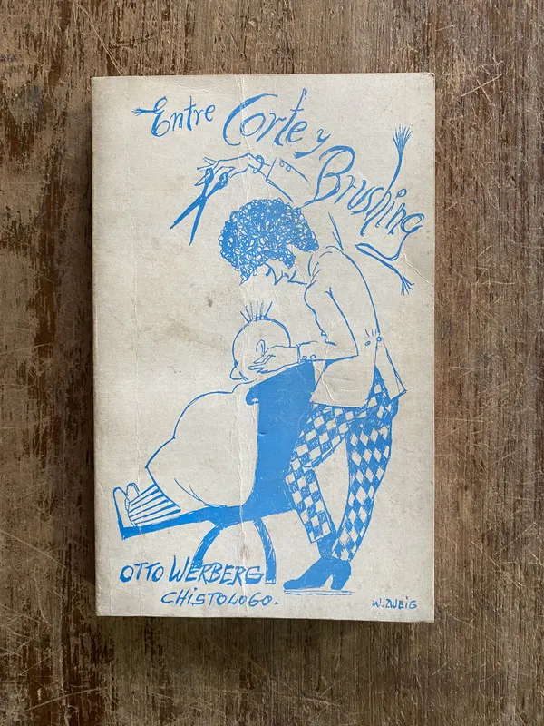 Tapa de Entre Corte y Brushing - Werberg Otto (4y5)