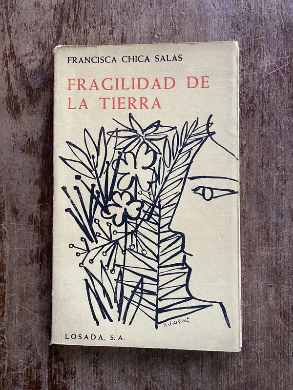 Fragilidad de la tierra - Chica Salas Francisca (4y4)
