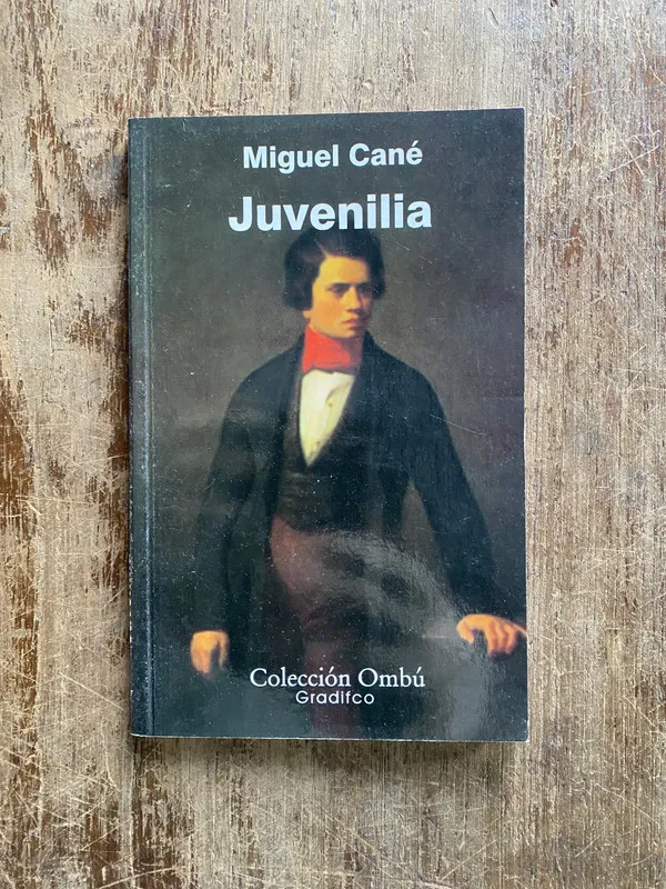 Tapa de Juvenilia - Cane Miguel (4y7)