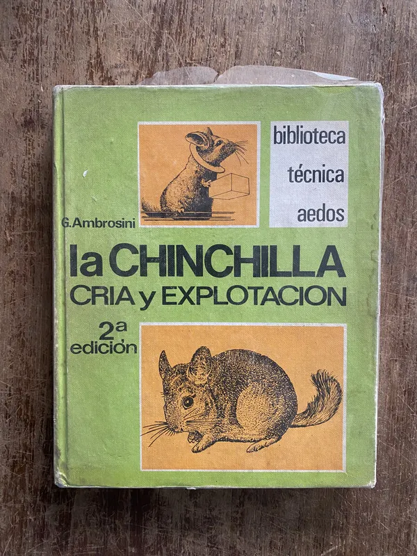 La Chinchilla - Ambrosini G. (4z5)