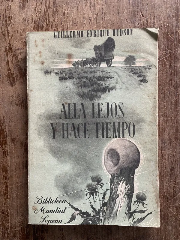 Alla lejos y hace tiempo - Hudson Guillermo Enrique (4z3)
