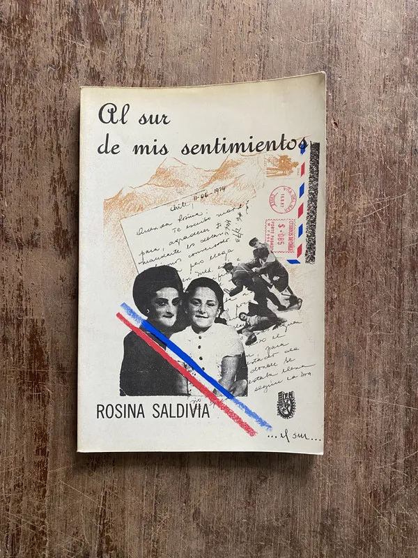 Al sur de mis sentimientos - Saldivia Rosina (5i7)