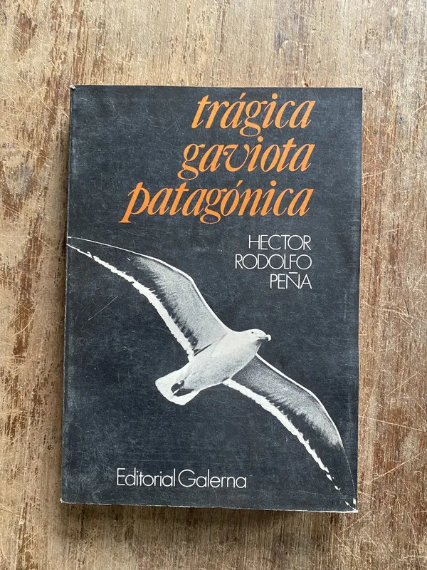Tragica gaviota patagonica - Peña Hector Rodolfo (5a3)