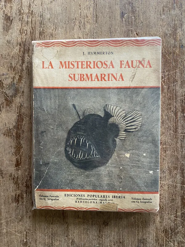 La Misteriosa Fauna Submarina - Hammerton J. (5a2)