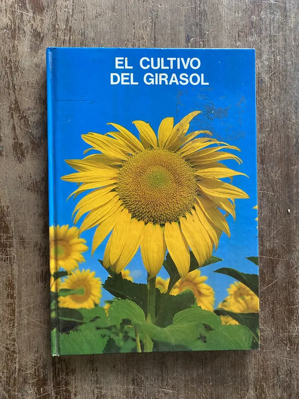 El cultivo del girasol - (5a2)