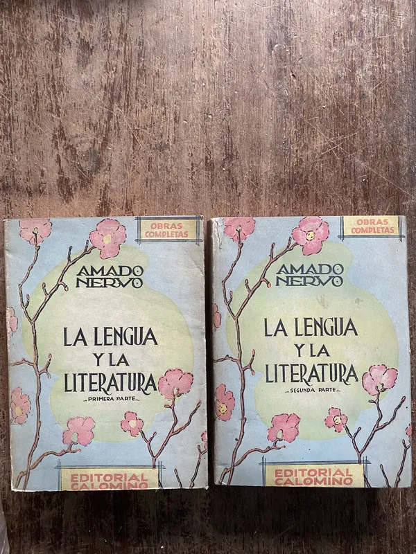 Tapa de La lengua y la literatura - Nervo Amado (5b1)