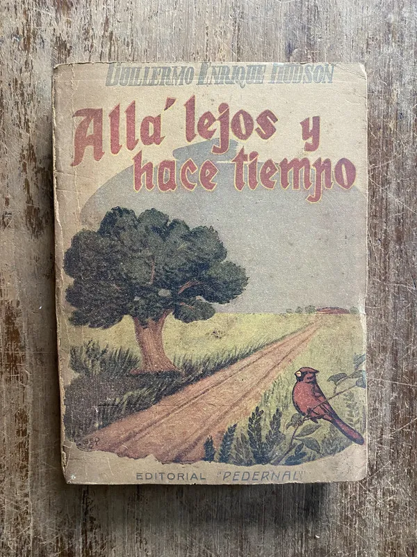 Alla lejos y hace tiempo - Hudson Guillermo Enrique (5g6)
