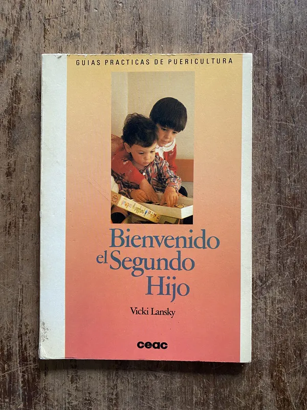 Tapa de Bienvenido el Segundo Hijo - Lansky, Vicki (5o6)