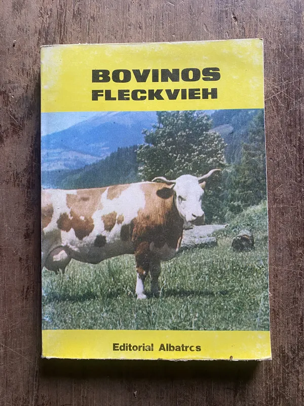 Bovinos Fleckvieh - (5e5)