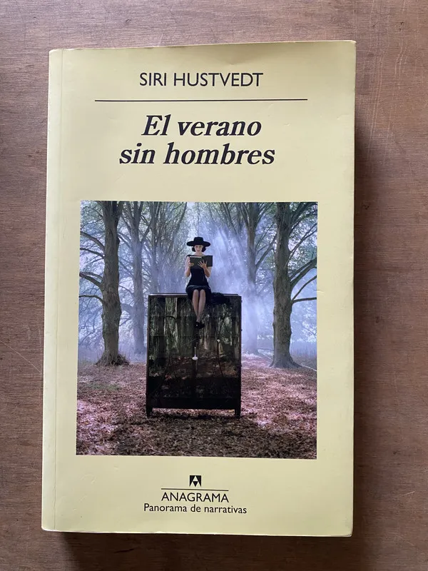 El verano sin hombres - Hustvedt Siri (3x3)