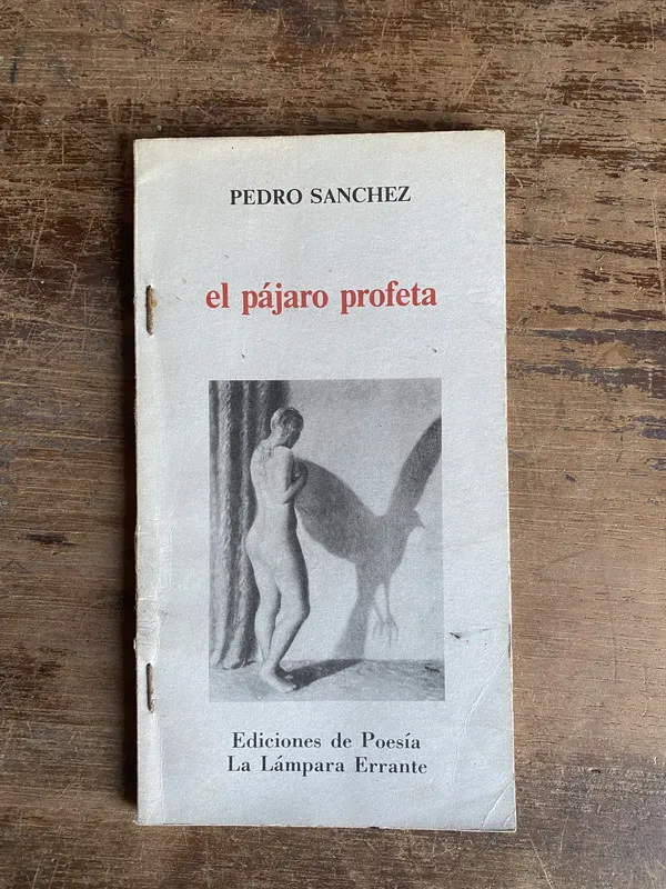 el pajaro profeta - Sanchez Pedro (5a0)
