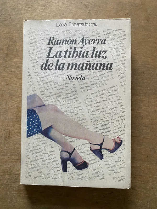 Tapa de La tibia luz de la mañana - Ayerra Ramon (3u3)