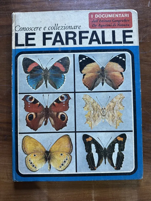 Le Farfalle (en italiano) - PARENTI UMBERTO (5c7)