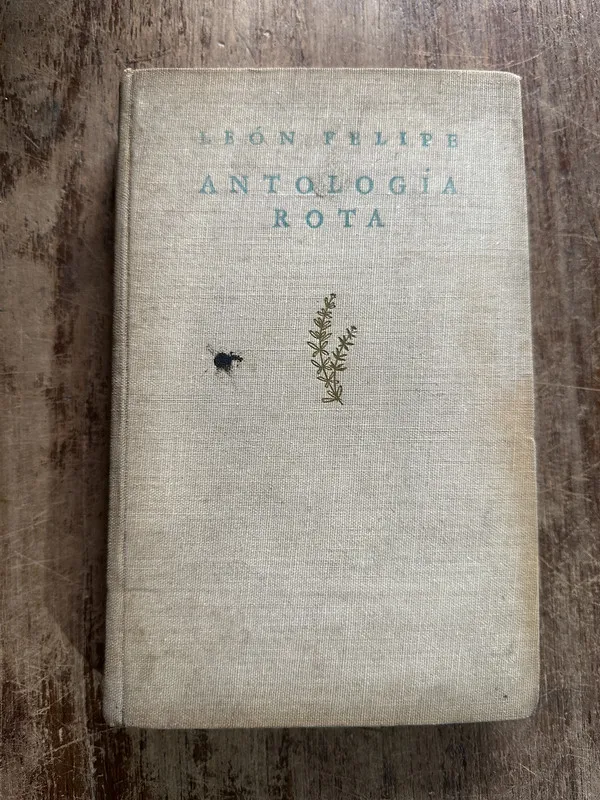 Antologia Rota - Felipe Leon (5g4)