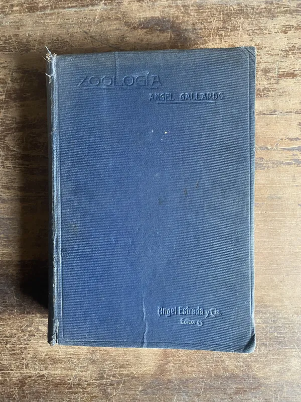 Zoologia - Gallardo Angel (5f0)