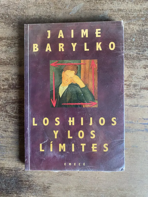 Los hijos y los limites - Barylko Jaime (5e0)