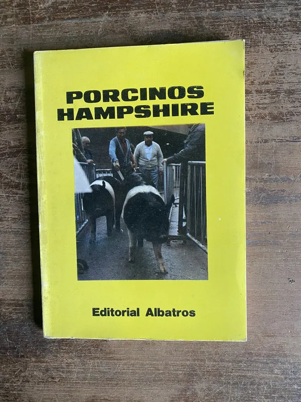 Porcinos Hampshire - (4n0)