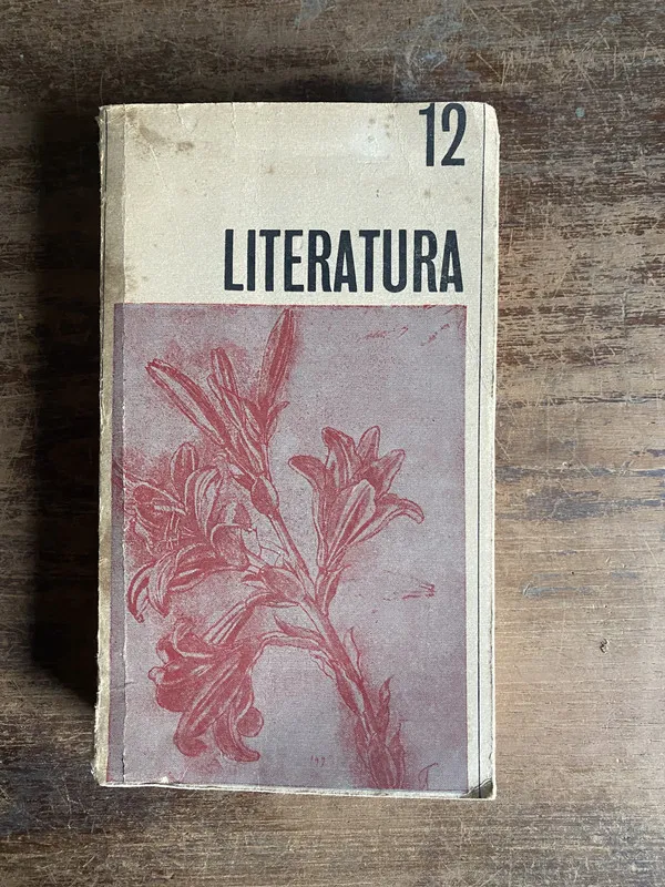 Numero 12 - Literatura (4n0)