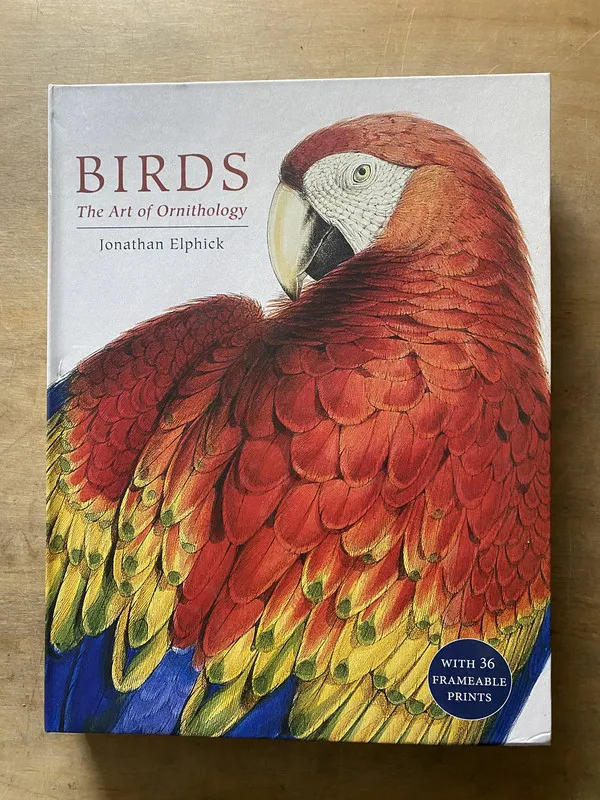 Birds - Elphick Jonathan (3y0)