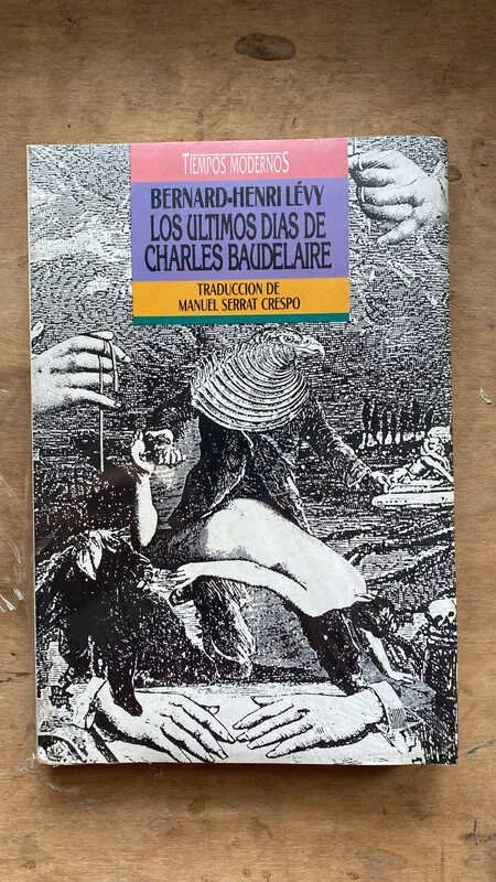 Los Ultimos Dias De Charles Baudelaire - Levy, Bernard (bb4)