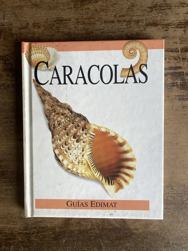 Caracolas - (4g0)