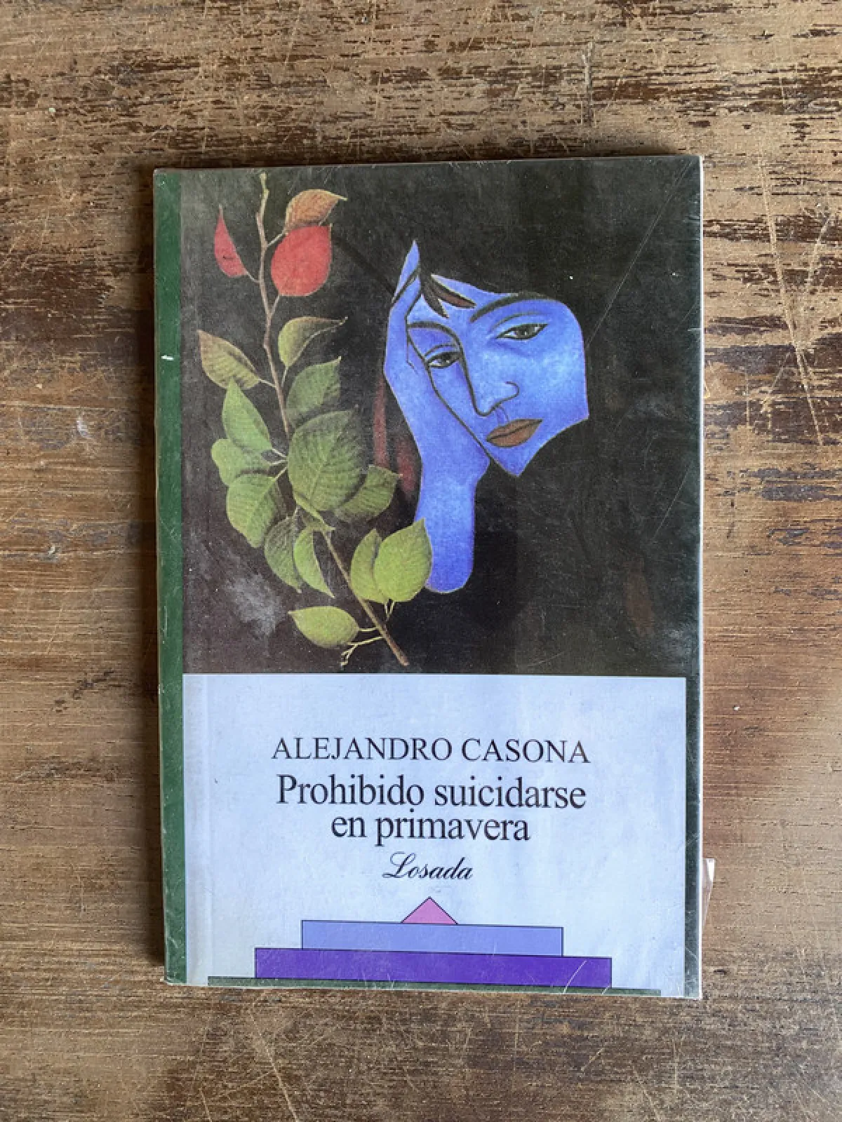 Prohibido suicidarse en primavera - Casona Alejandro (4h0)