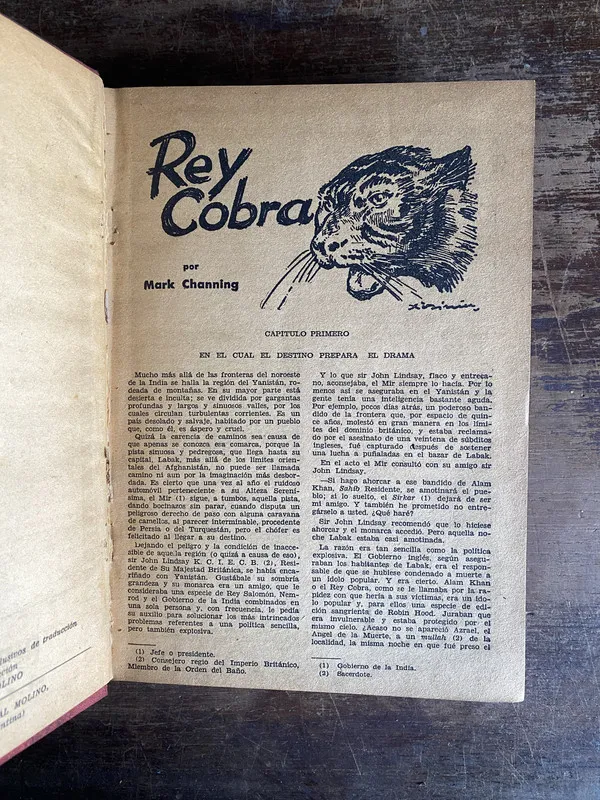 Rey Cobra - Channing Mark (4i0)
