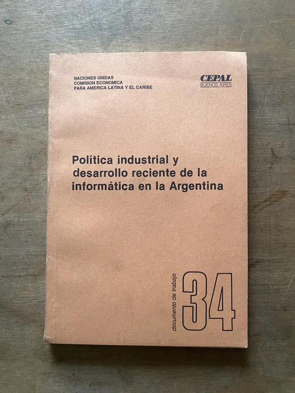 Politica industrial y desarrollo reciente de la informatica