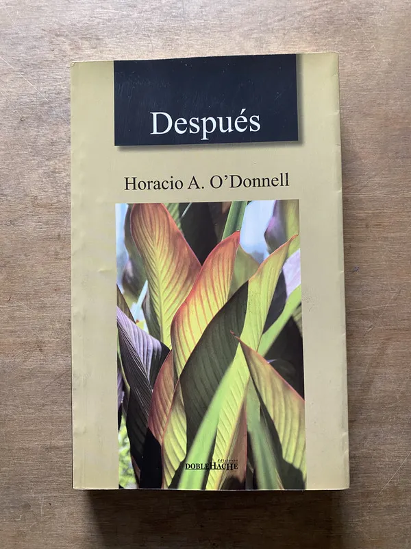 Tapa de Despues - O'Donnell Horacio A. (3w6)