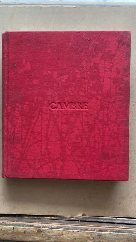 Cambre - De Katzenstein, Ines (L4)
