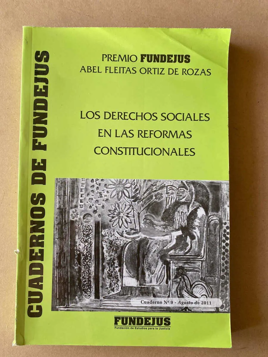 Los Derechos Sociales En Las Re- Fleitas Ortiz De Rozas (D7)