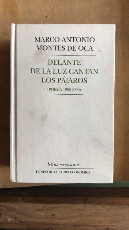 Delante De La Luz Cantan Los Pajaros - Montes De Oca (bb4)