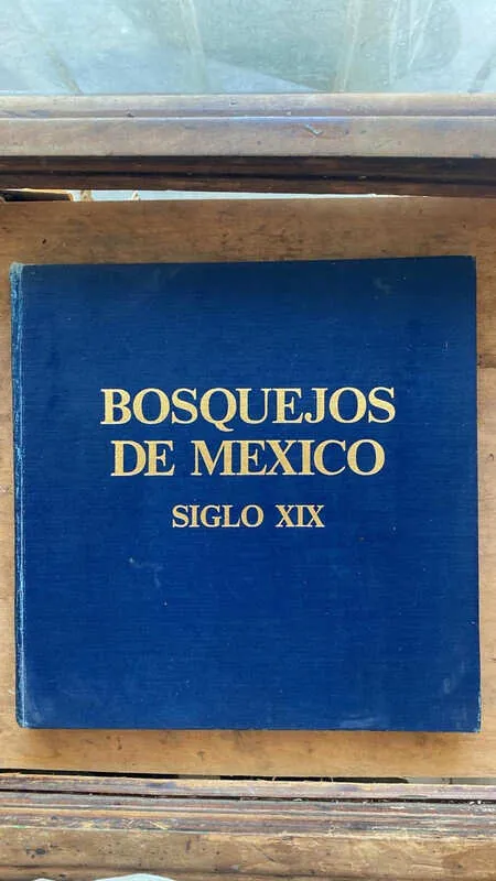 Bosquejos De Mexico Siglo Xix (gg7)