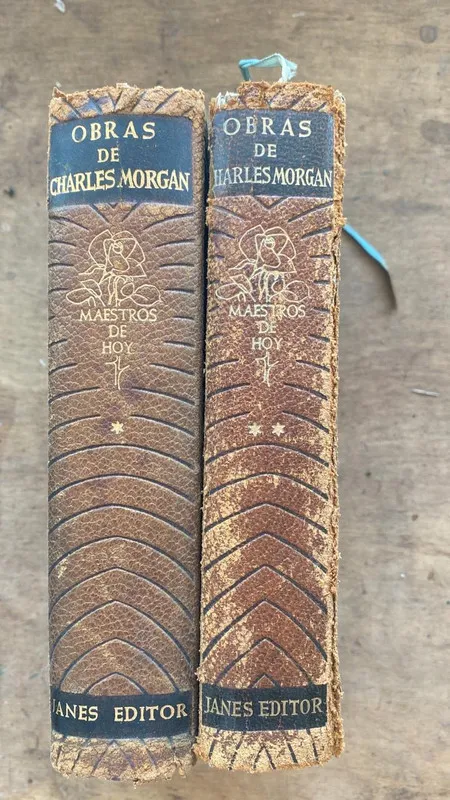 Obras de Charles Morgan - Morgan, Charles (N1)